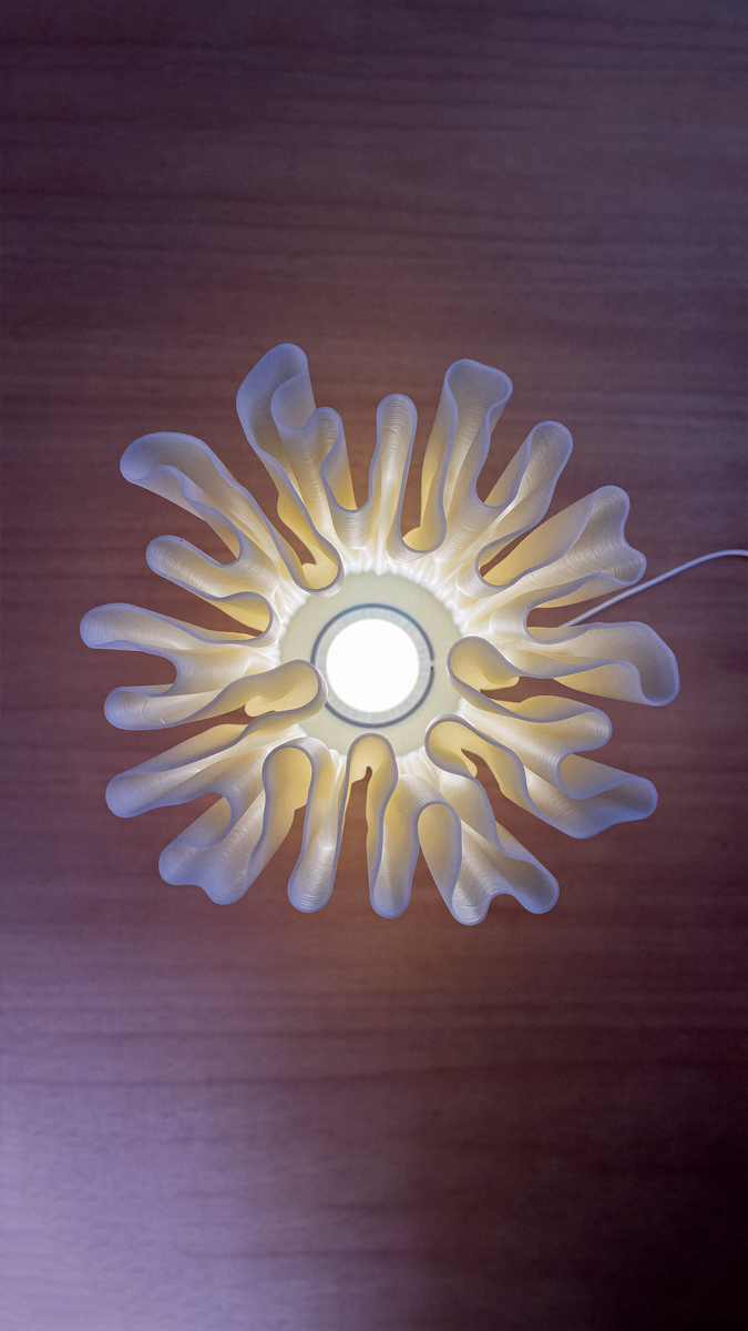 ZOAN LAMP 7 1920